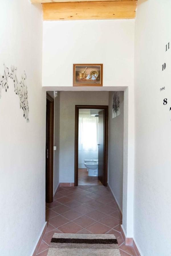 B&B Aria Antica Verbicaro Екстер'єр фото